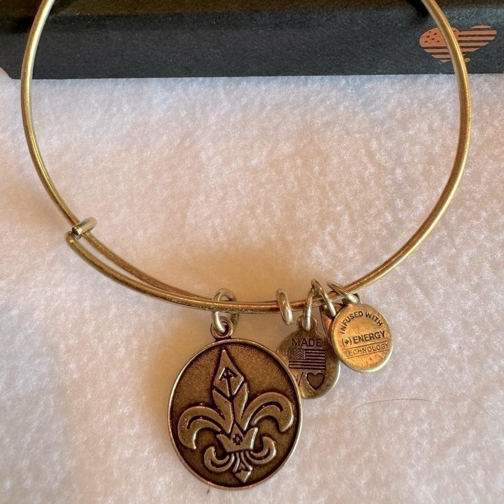 Alex and Ani Fleur de Lis bangle bracelet bronze tone w/pouch & original box.